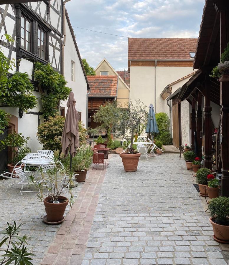 Maison Dietenbeck Wissembourg Kültér fotó