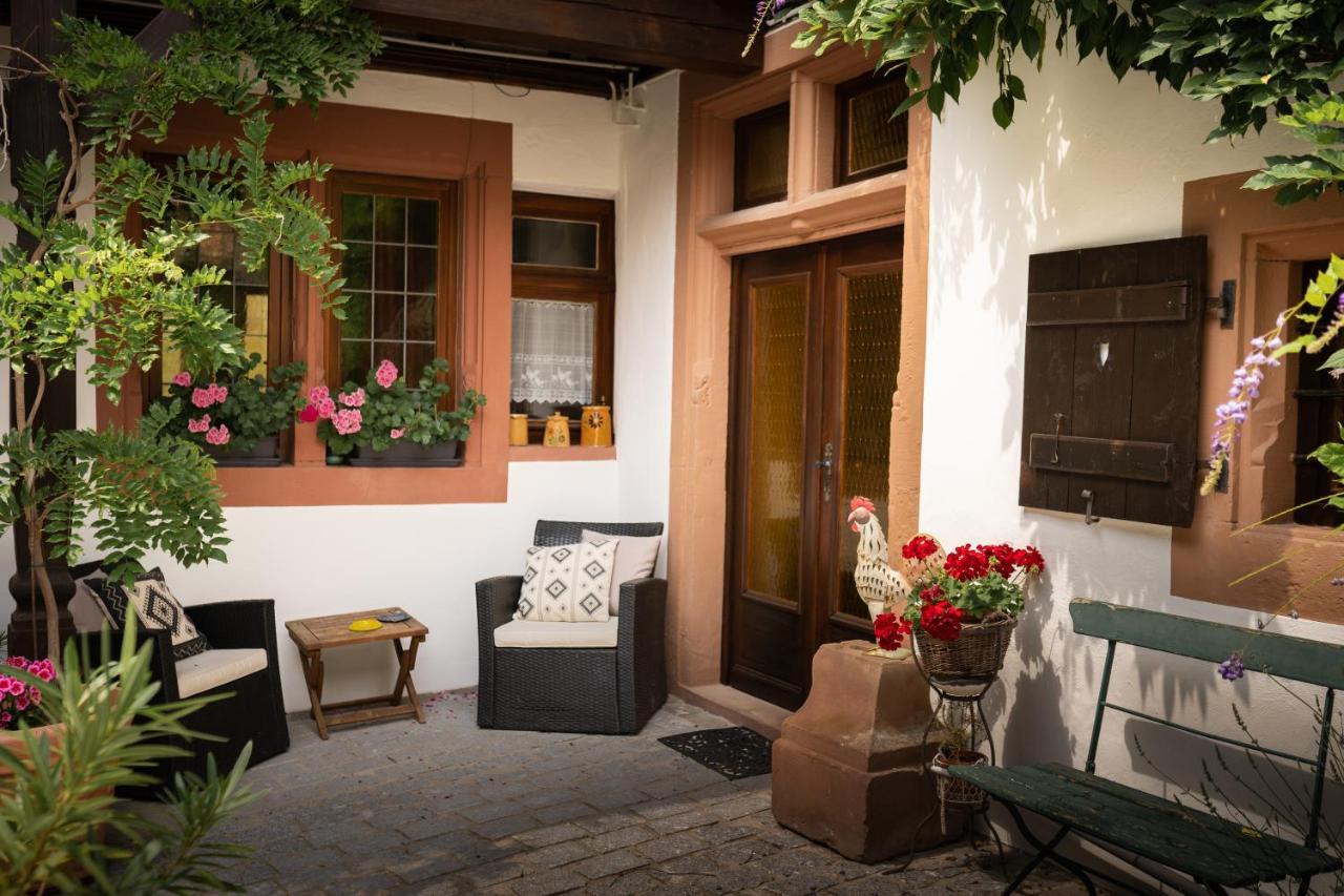 Maison Dietenbeck Wissembourg Kültér fotó