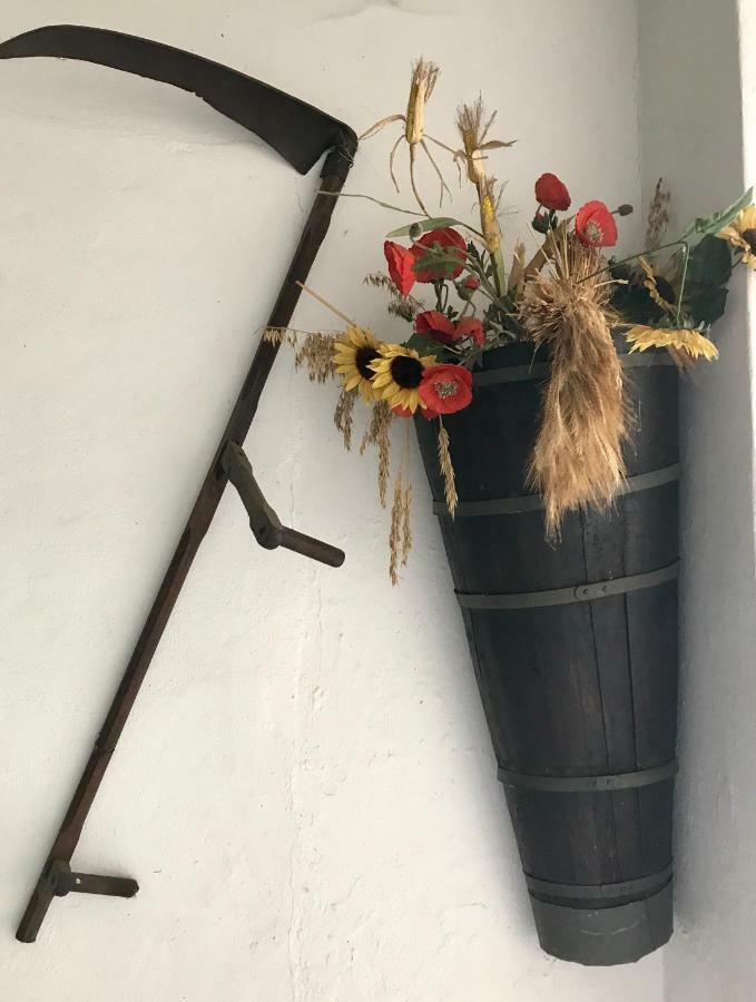 Maison Dietenbeck Wissembourg Kültér fotó