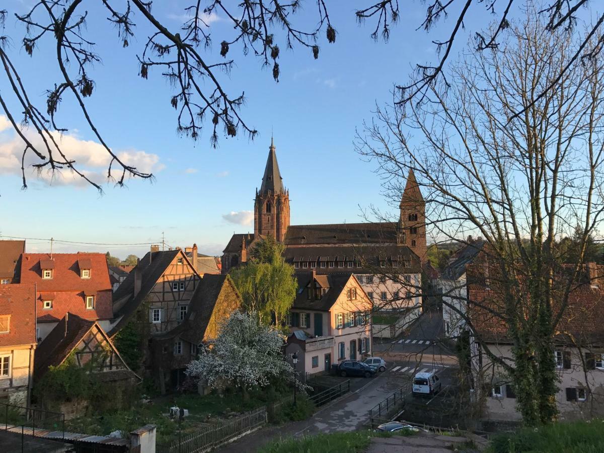 Maison Dietenbeck Wissembourg Kültér fotó
